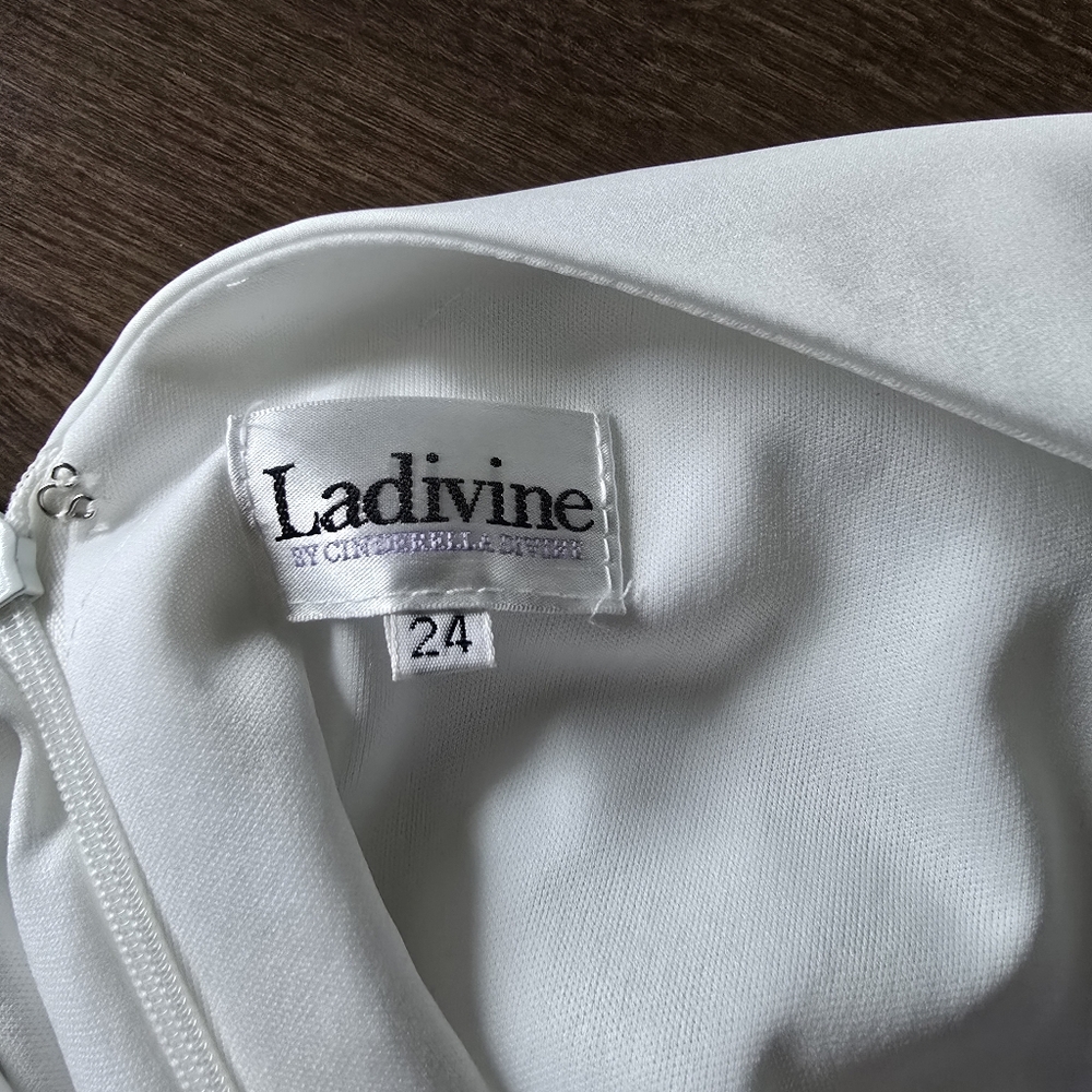 Wedding dress-never worn - Picture 11 of 11